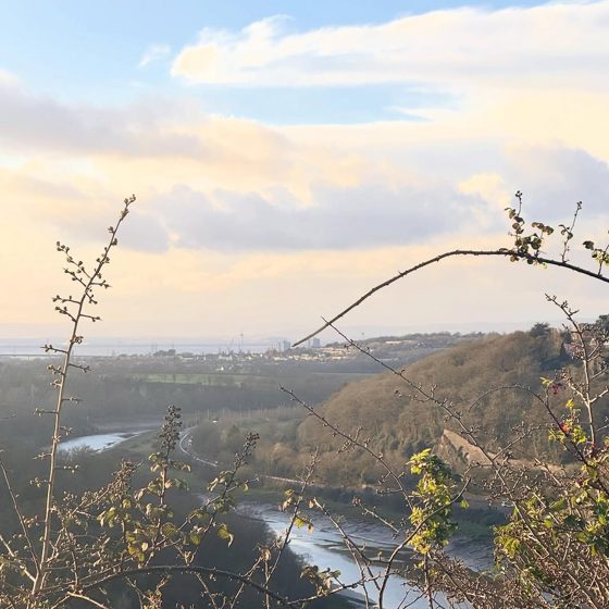 Avon Gorge